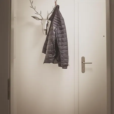 Rheinnest , Neue Und Gemütliche *